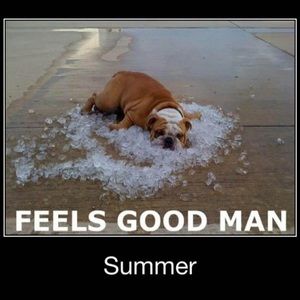 Meet your Posher, Jerry